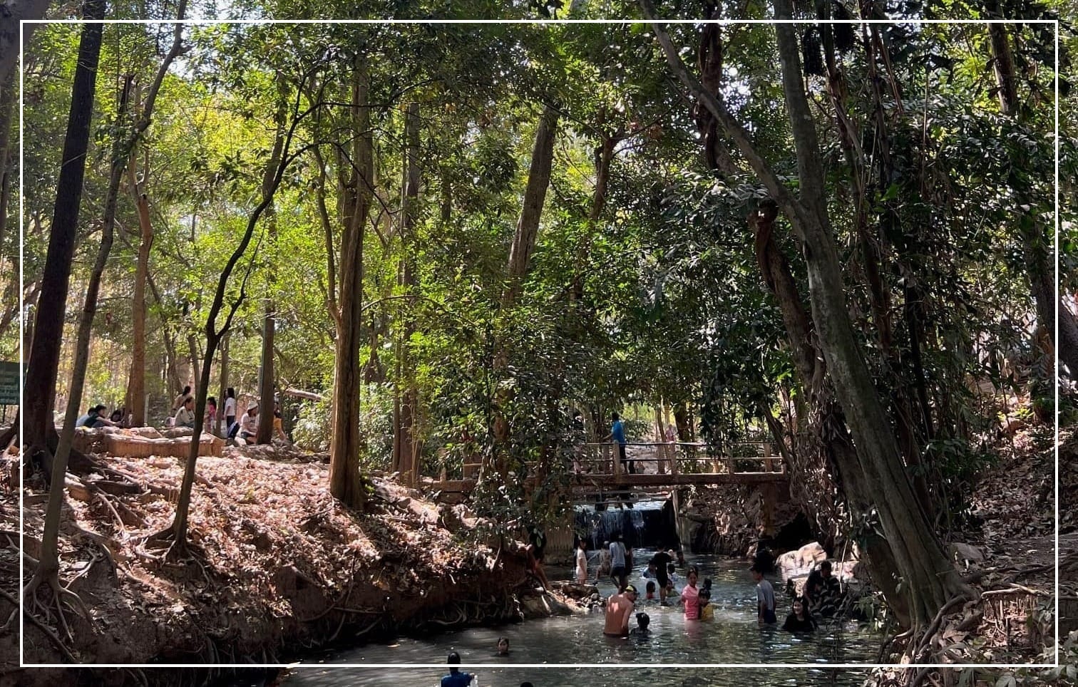 Children and adults playing in a natural pool under tall trees and dappled shade in a tropical forest in Khao Yai, Thailand.